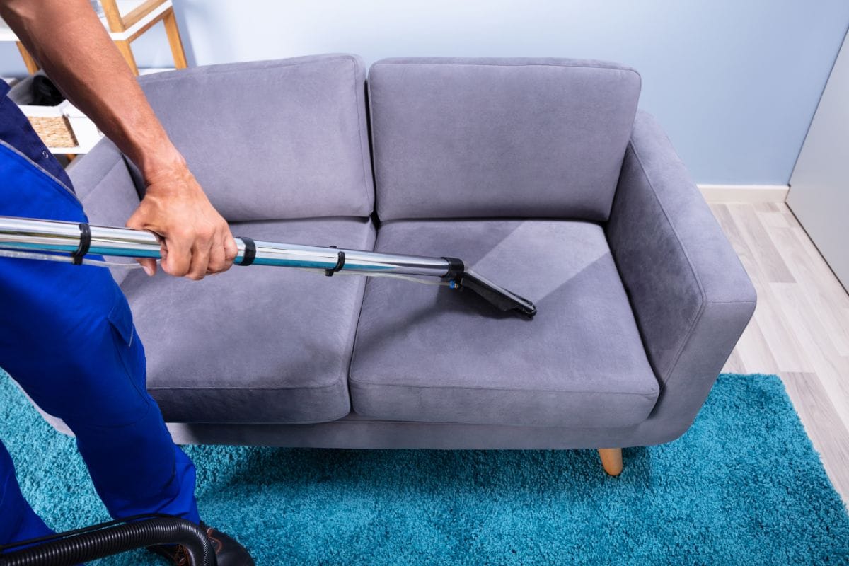 Sofa Cleaning Services: Revitalizing the Heart of Your Living Space